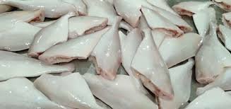 Frozen Leather Jacket Fish